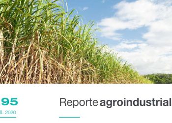 Relevamiento de la distribución de variedades y de otras tecnologías aplicadas en el cultivo de caña de azúcar en la provincia de Tucumán: campaña 2019/2020 (Parte I)