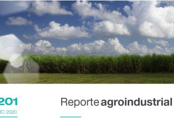 Relevamiento de la distribución de variedades de caña de azúcar en la provincia de Tucumán: campaña 2019/2020 (Parte II)