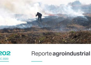 Relevamiento de la superficie quemada en el área productiva de la provincia de Tucumán durante la campaña 2020