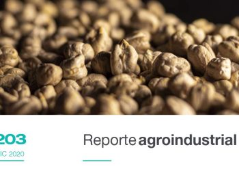 Características generales de la campaña de garbanzo 2020 Resultados de ensayos