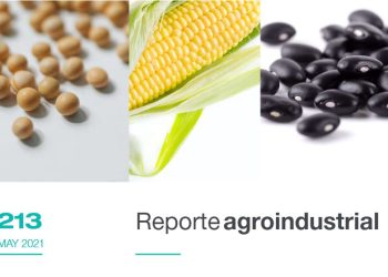 Relevamiento de la superficie cultivada con soja, maíz y poroto en la campaña 2020/2021 en Tucumán y comparación con campañas precedentes