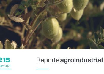 Fecha de siembra, una alternativa de manejo para el control de la fusariosis vascular en el cultivo de garbanzo