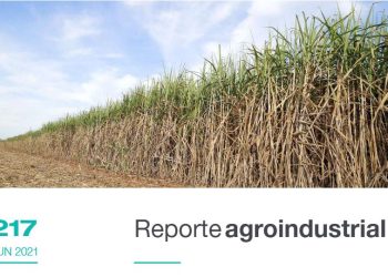 Área cosechable y producción de caña de azúcar y azúcar para la zafra 2021 en Tucumán