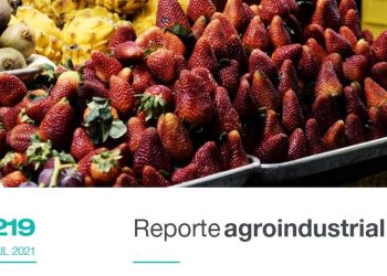 Actividad comercial del cultivo de frutilla en la Argentina y Tucumán, campaña 2020 Gastos de plantación en el año 2021