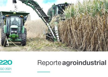 Producción y precio doméstico del bioetanol de caña de azúcar en la Argentina durante el período 2009-2021