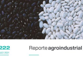 Campaña de poroto 2021: características generales y resultados de ensayos