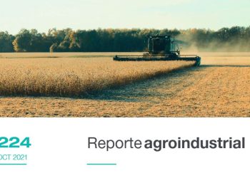 Gastos de producción y puntos de indiferencia del cultivo de soja en la campaña 2020/21 en Tucumán