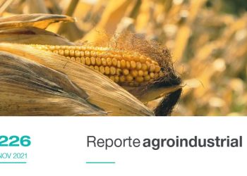 Gastos de producción y puntos de indiferencia del cultivo de maíz en la campaña 2020/2021 en Tucumán