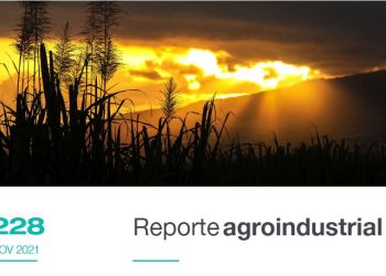 Gastos de alternativas de fertilización en caña de azúcar para la campaña 2021/22