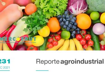 Evolución de los precios de hortalizas en el mercado de Concentración Frutihortícola de Tucumán en el periodo 2012-2020