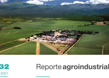 Dinámica del precio doméstico e internacional del azúcar entre 2001-2021