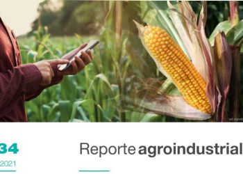 Resultados de la encuesta de maíz en Tucumán y zonas de influencia, campaña 2020-2021