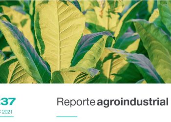 Estimación satelital de la superficie cultivada con tabaco en Tucumán. Campaña 2021/22 y su comparación con la campaña precedente