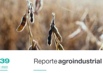 Calidad de la semilla de soja producida en la campaña 2021