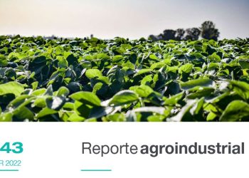 Calidad comparativa de semilla de soja en variedades RR1 vs variedades INTACTA RR2 PRO Campañas 2014 – 2021