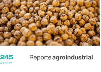 Resultados económicos y productivos del cultivo de garbanzo en Tucumán, período 2014 – 2021 y perspectivas para el año 2022