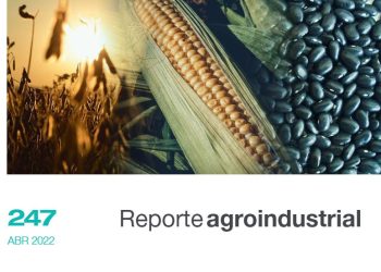 Superficie cultivada con soja, maíz y poroto en la campaña 2021/2022 en Tucumán y comparación con campañas precedentes