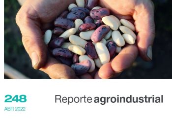 Calidad de la semilla en cultivos de granos