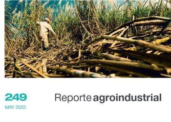 Resultados del análisis Prezafra correspondiente a la primera semana de mayo de 2022