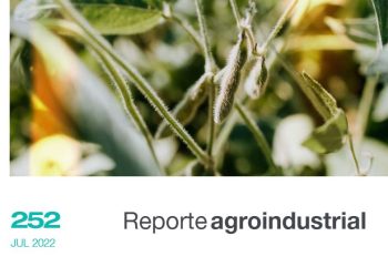 Gastos de producción y puntos de indiferencia del cultivo de soja en la campaña 2021/2022 en Tucumán