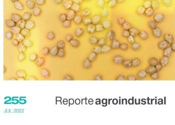 Calidad de la semilla de garbanzo obtenida en la campaña 2021