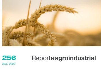 Calidad de la semilla de trigo obtenida en la campaña 2021