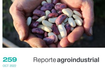 Campaña de poroto 2022 características generales, análisis y resultados de ensayos