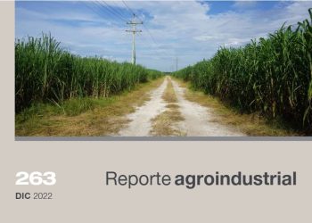 Estimación del gasto de fertilización de caña soca para la zafra 2023 en Tucumán y análisis de precios de los fertilizantes nitrogenados entre 2015-2022