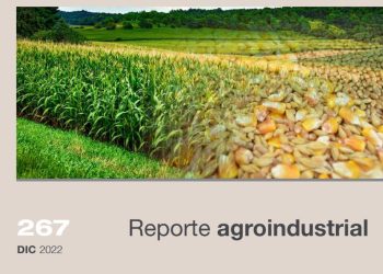 Análisis del inicio de la campaña estival granos 2022/2023 en Tucumán