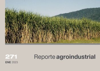 Zafra 2022: Diferenciación de edades en cañaverales tucumanos con cultivo antecesor soja