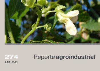 Calidad de la semilla de poroto obtenida en la campaña 2022 para el noroeste argentino