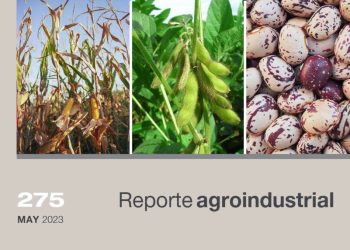 Monitoreo de la superficie implantada con soja, maíz y poroto en la campaña 2022/2023 en Tucumán y comparación con campañas precedentes