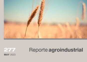 Resultados de la encuesta a productores de trigo en Tucumán, campaña 2022