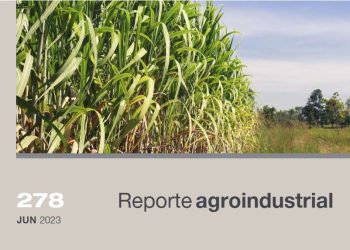 Área cosechable y producción de caña de azúcar para la zafra 2023 en Tucumán