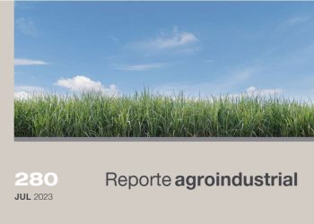 Principales enfermedades que afectaron al cultivo de la caña de azúcar en Tucumán durante la campaña 2022/2023