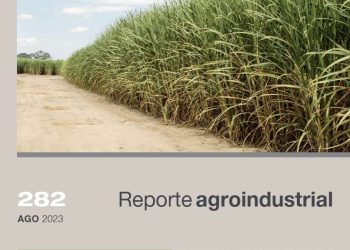 Relevamiento de la distribución varietal y del uso de otras tecnologías en el cultivo de caña de azúcar en la provincia de Tucumán: campaña 2022/2023