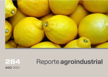 Objetivos de Desarrollo Sostenible en la producción de limón en Tucumán: el aporte de las instituciones