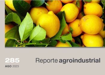 Objetivos de Desarrollo Sostenible en la producción de limón en Tucumán: el aporte de las empresas