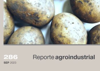 Cultivo de papa en la Argentina y en Tucumán. Actividad comercial del Período 2020-2022 y avances de la campaña 2023