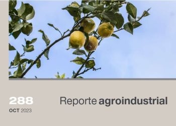 Limón: dinámica comercial y gastos de producción de la campaña 2022/23 en Tucumán