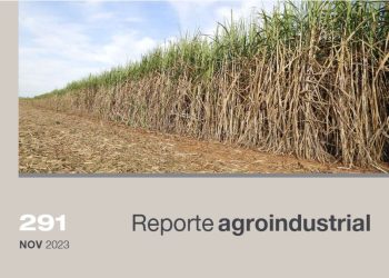 Gastos de producción y margen bruto del cultivo de caña de azúcar en la zafra 2023 en Tucumán