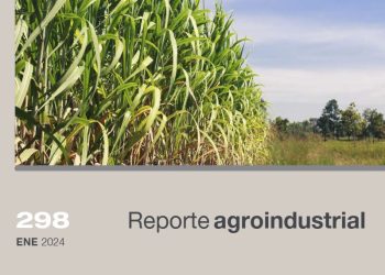 Proyecto Vitroplantas: producción y distribución de caña semilla de alta calidad en Tucumán en el año 2023