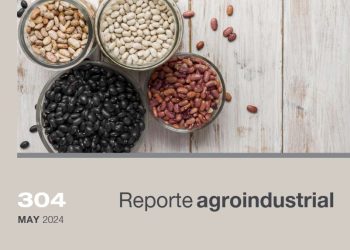 Calidad de la semilla de poroto obtenida en la campaña 2023 en el noroeste argentino