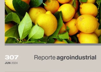 Dinámica comercial del cultivo de limón en Tucumán en el período 2019 – 2023