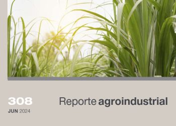 Gastos de producción y margen bruto del cultivo de caña de azúcar en Tucumán en las campañas 2022/23 y 2023/24