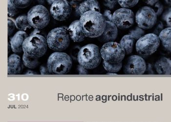 Actividad comercial del cultivo de arándano en la Argentina y Tucumán en el período 2019-2023
