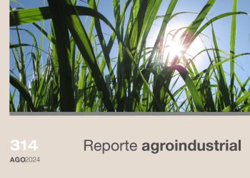 Los desafíos sanitarios de la caña de azúcar en Tucumán durante la campaña 2023/2024