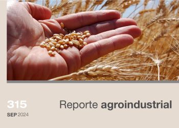 Calidad de la semilla de trigo utilizada en la siembra del ciclo agrícola 2024 en Tucumán y zonas de influencia.