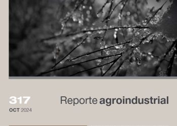 Relevamiento satelital del daño causado por las heladas de julio y agosto de 2024 en el área cañera de Tucumán