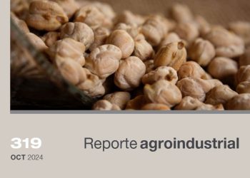 Calidad de la semilla de garbanzo utilizada en la siembra del ciclo agrícola 2024 en Tucumán y zonas de influencia